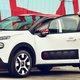 Illustration for article titled Meet the new Citroën C3, with added Cactus inside and out